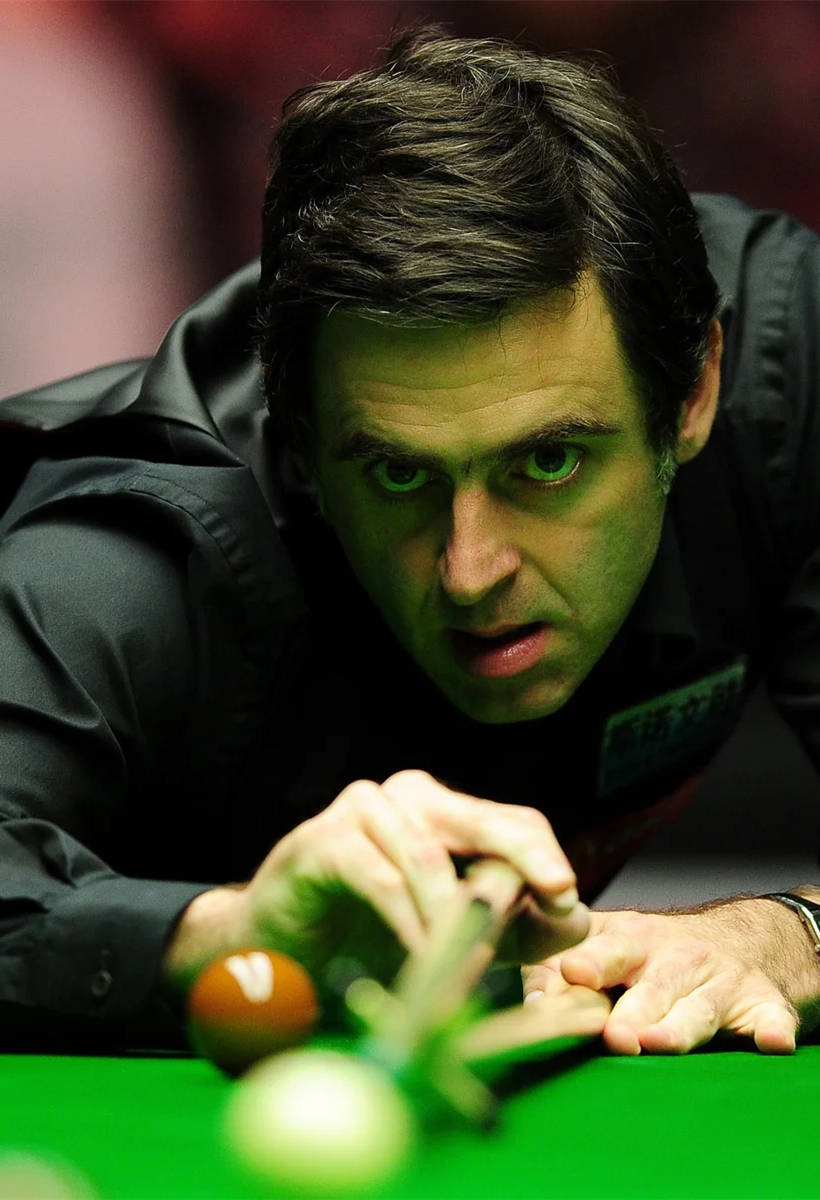 在这期间 在这期间