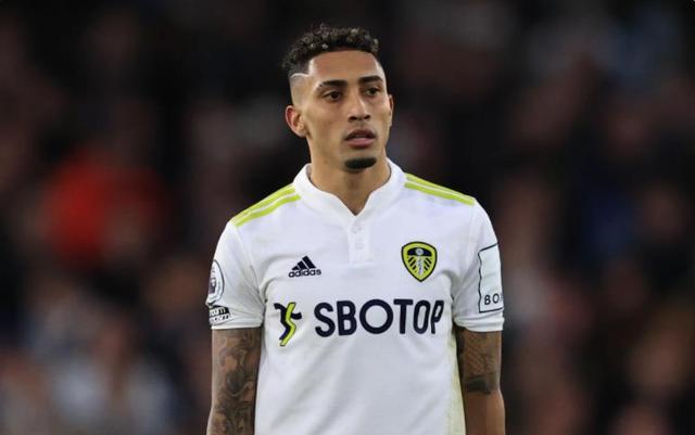 致命的反击 致命的反击